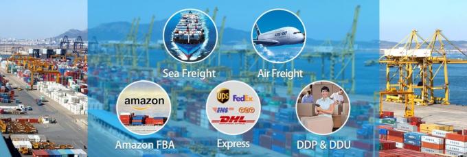 Servizio di trasporto professionale dell'aereo da trasporto dalla Cina ad U.S.A. Europa Nuova Zelanda