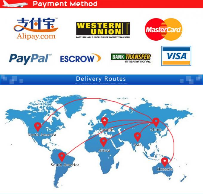 Agente affidabile economico Battery Shipping Service dell'aereo da trasporto della Cina