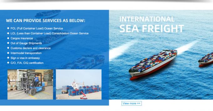 10 oceano veloce principale del mare di Zim Forwarding DDP dell'agente degli spedizionieri che spedisce la Cina ad U.S.A. Malesia Singapore India