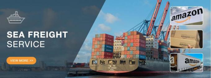 10 oceano veloce principale del mare di Zim Forwarding DDP dell'agente degli spedizionieri che spedisce la Cina ad U.S.A. Malesia Singapore India